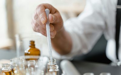 Find the Perfect Beauty Agent: UK & Europe Markets