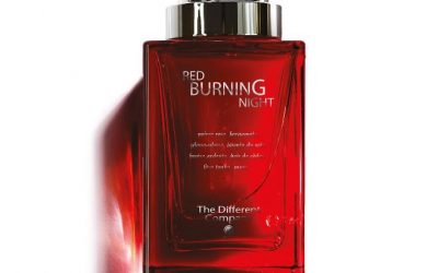 Niche Perfumes vs. Designer Perfumes: What’s the Difference?